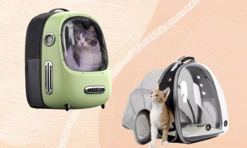 Cat Carrier Backpack