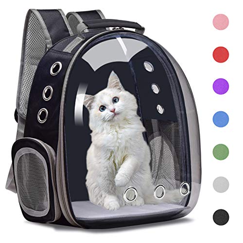 Best Cat Backpack