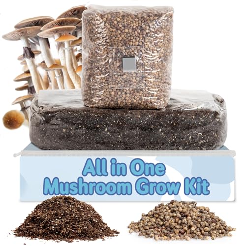 Best All in One Psilocybin Grow Bag